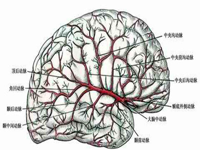 腦卒中早期症狀?&?快速識別方法