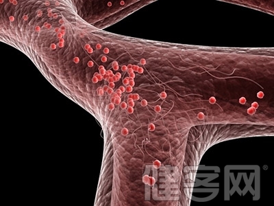 血管健康日：抗“動粥”就是保生命