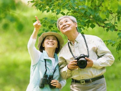 吃芹菜可以降低血壓 這是真的嗎