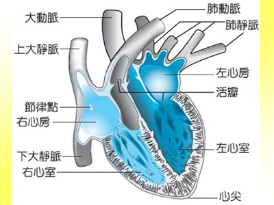 開啟我國老年瓣膜性心髒病治療新時代