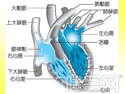 心髒病治療手術注意事項