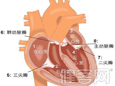 心髒病二尖瓣膜狹窄能的治療方法