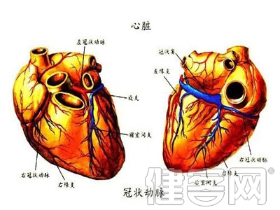 二尖瓣關閉不全手術