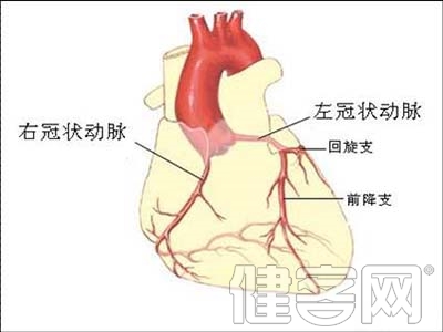 二尖瓣修復手術