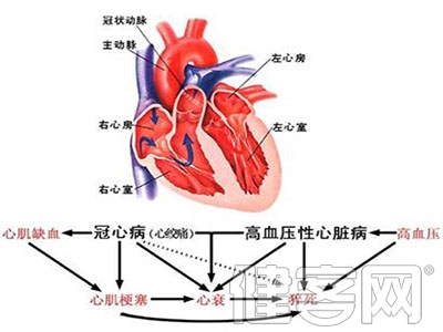 先天性心血管永存動脈干手術治療