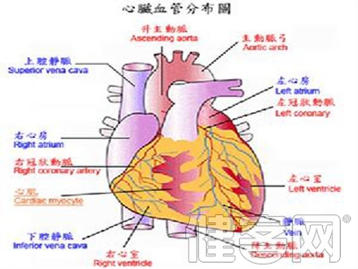 瓣膜置換術後兩注意 