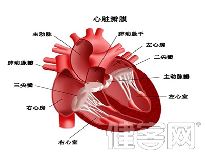 心血管堵塞手術治療怎麼做