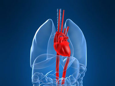 剖析冠心病的檢查方法