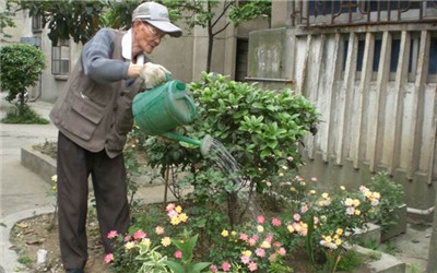 遠離心血管疾病，空巢老人更需要關愛！