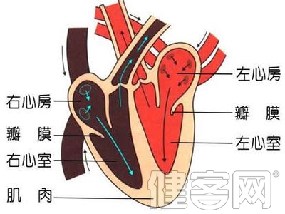 您真的患上“心肌缺血”了嗎？