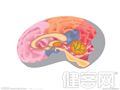 補充維B可降低腦卒中風險