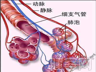 房顫“律”的藥物控制