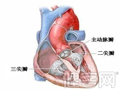 頻發室性早搏 切忌盲目治療