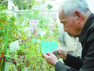 什麼是高血壓性腎小動脈硬化