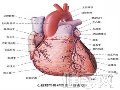 冠心病介入術後的治療