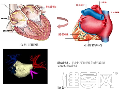 防心腦血管病是系統工程