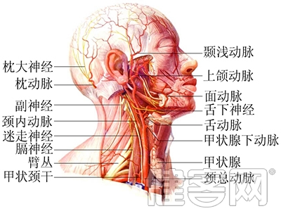 打好“五張牌”謹防心腦血管病“襲擊”