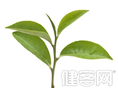 防動脈硬化請多吃點柿子 茶葉為你抵抗多種疾病