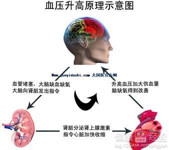 高血壓的低壓高品質生活