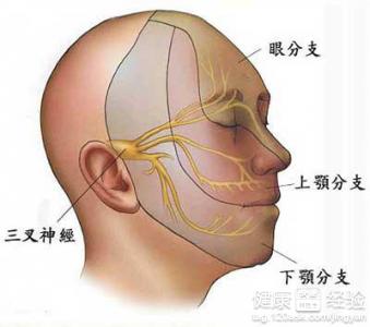 初期高血壓怎樣治療