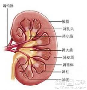 高血壓危象的名詞解釋