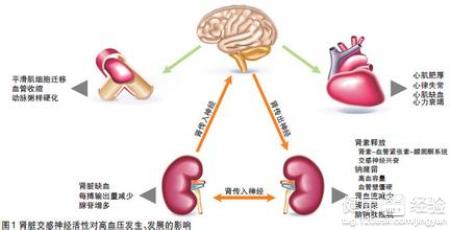 高血壓吃啥藥