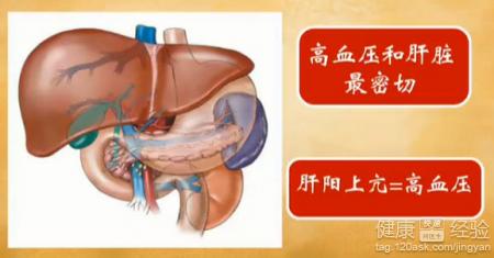 肝陽上亢型高血壓