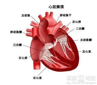 第1步