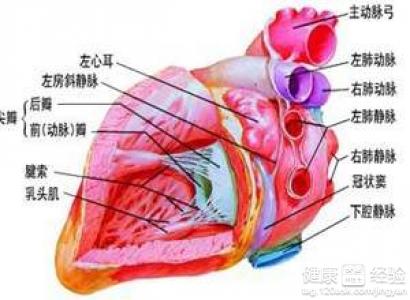 3原則幫助心髒病患者度夏