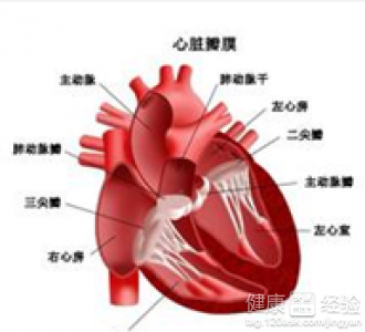 冬季心髒病者需要注意些什麼