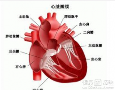 心髒病發作的時候如何急救