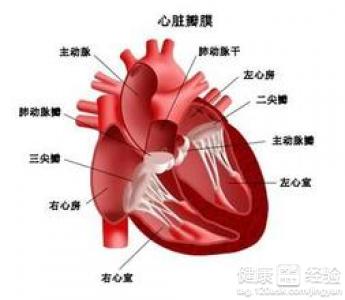 氣溫低於12℃易發心髒病