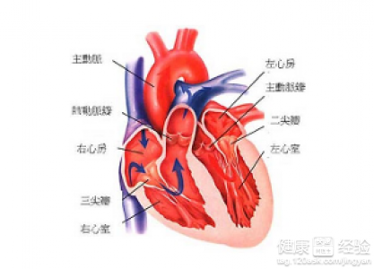 風濕性心髒病患者不可貪吃