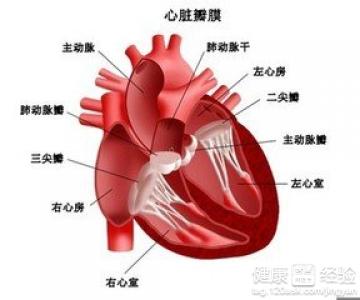 心髒病我有我的治療方案