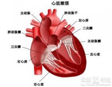 心髒病突發怎麼急救