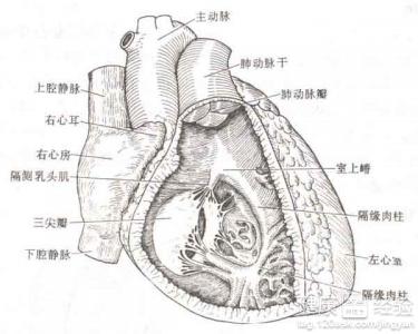 第1步