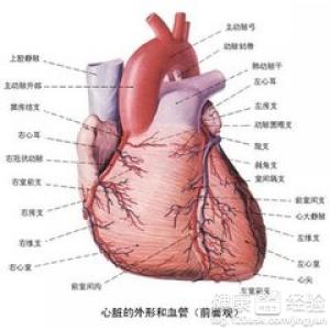 心髒病有哪些症狀