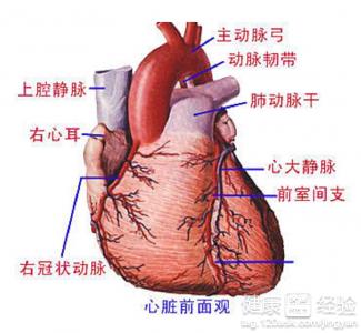 第1步