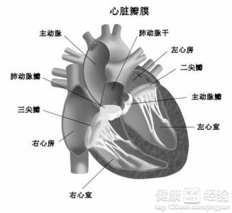 心髒病可以治好嗎