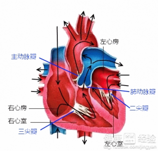 第1步