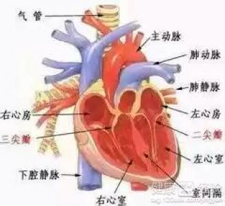 第1步