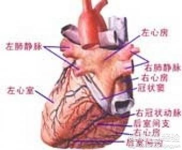 教你分辨風濕性心髒病