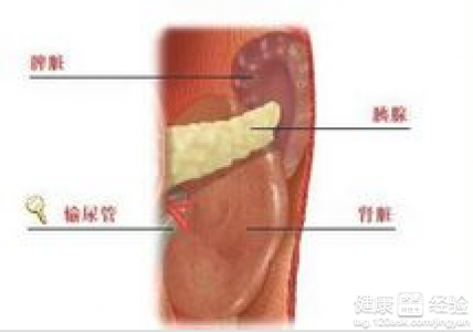 高血壓腎病分級