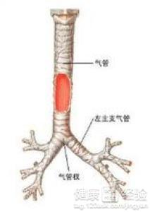 第1步