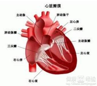 風濕性心髒病二尖瓣關閉不全能要孩子嗎