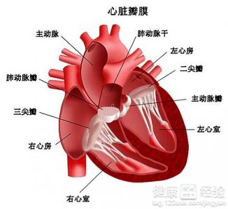 第1步