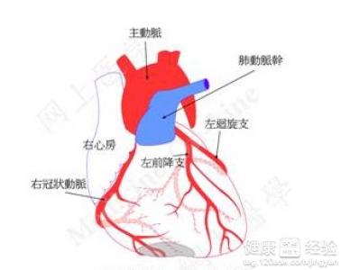 非典型心髒病是怎樣的一種病