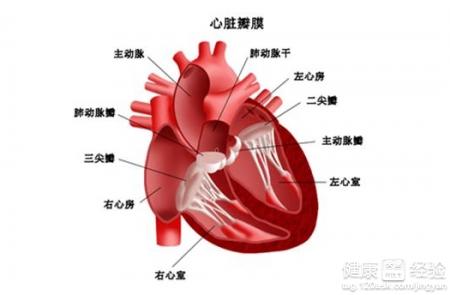 風濕性心髒病有哪些治療方法