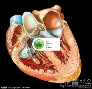 吃什麼對心髒病患者好？