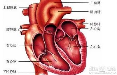 怎麼保護自己的心髒